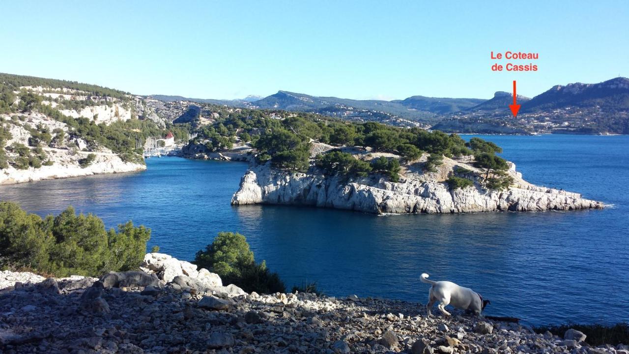 Large Private Garden, Quiet 2-Bedroom Apartment, Air Conditioning, Wifi, Parking Cassis Buitenkant foto