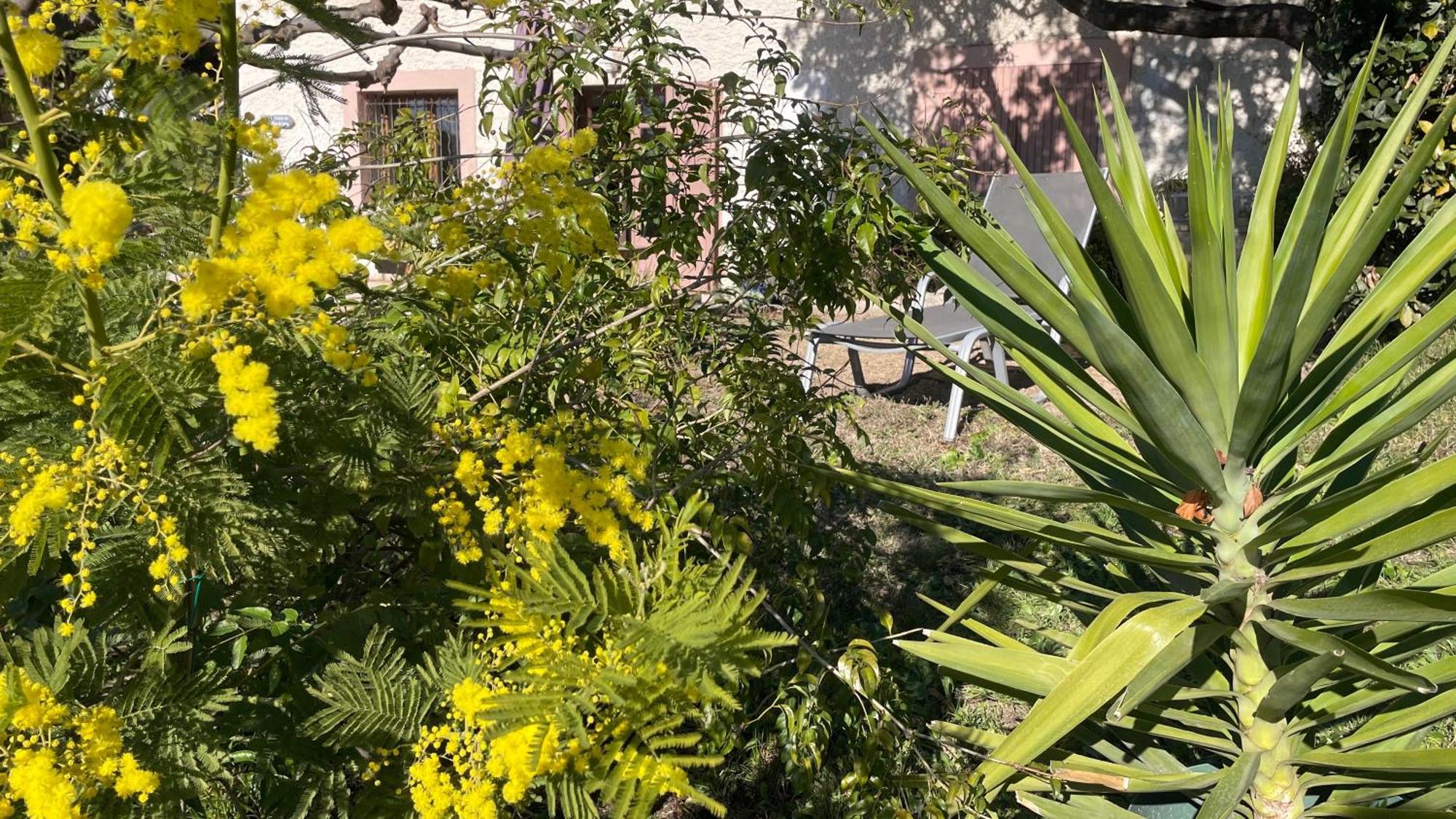 Large Private Garden, Quiet 2-Bedroom Apartment, Air Conditioning, Wifi, Parking Cassis Buitenkant foto